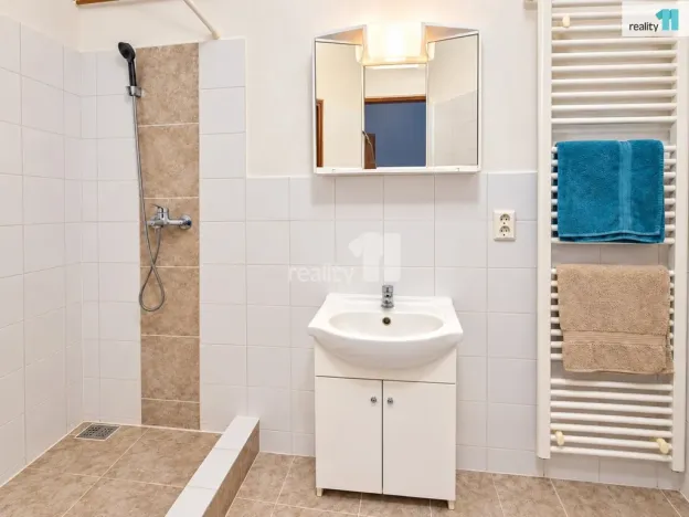 Pronájem bytu 2+1, Chotěšov, Plzeňská, 45 m2
