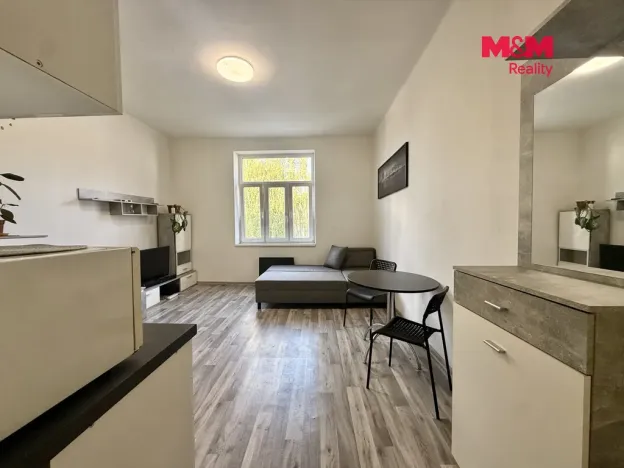 Pronájem bytu 1+kk, Ostrava - Přívoz, Mariánskohorská, 20 m2
