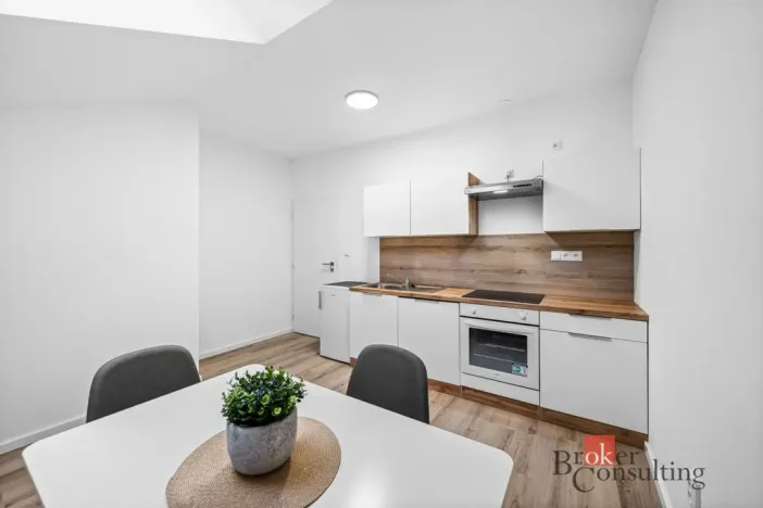 Pronájem bytu 2+kk, Břasy, 47 m2