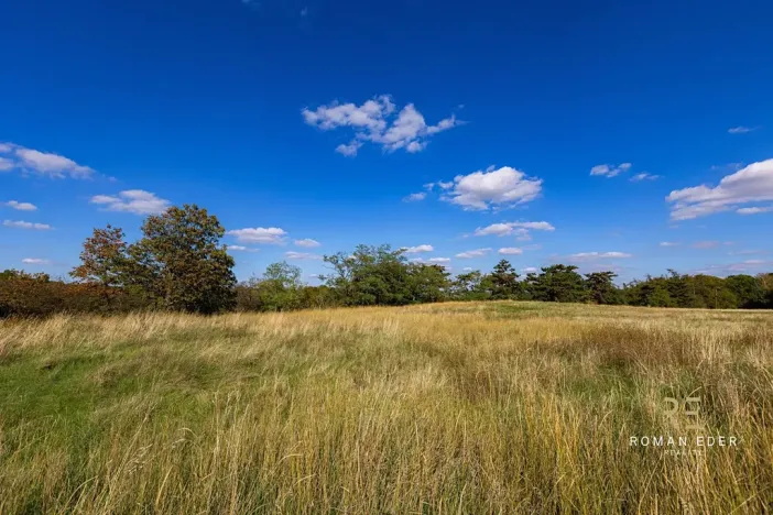 Prodej vícegeneračního domu, Praha - Liboc, Hostouňská, 278 m2