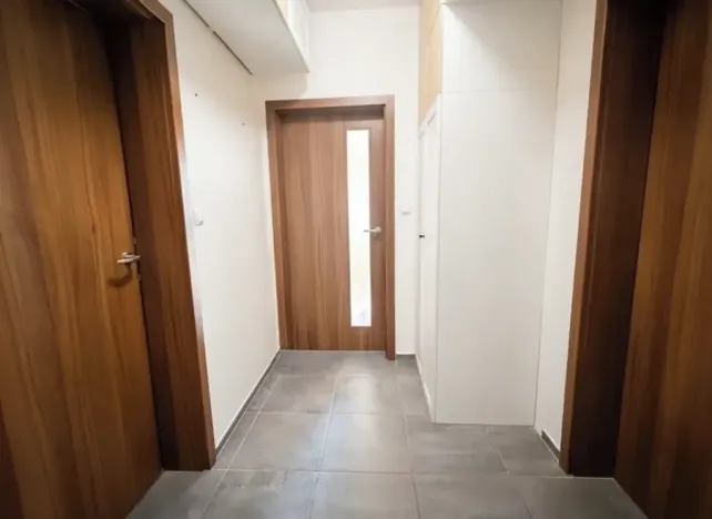 Pronájem bytu 3+kk, Brno, 52 m2