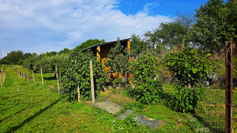 Prodej vinného sklepa, Mutěnice, 107 m2