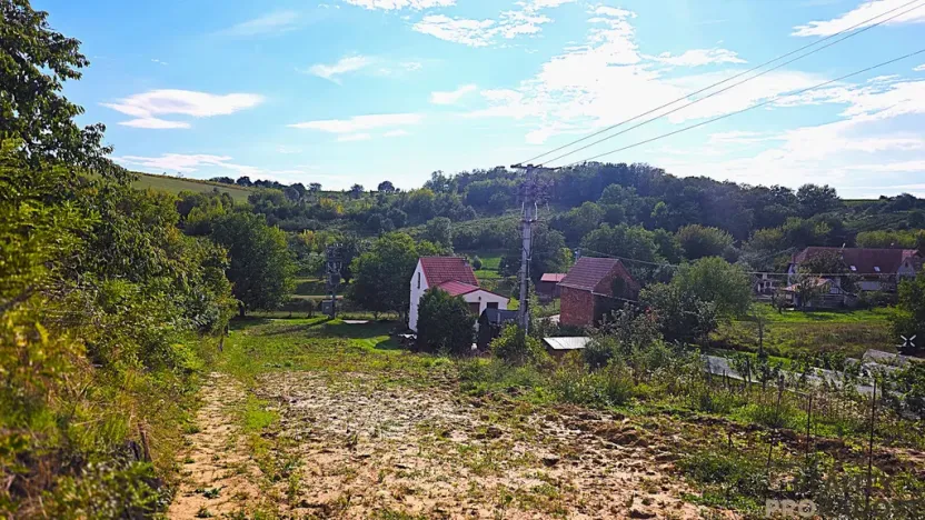Prodej vinného sklepa, Mutěnice, 107 m2