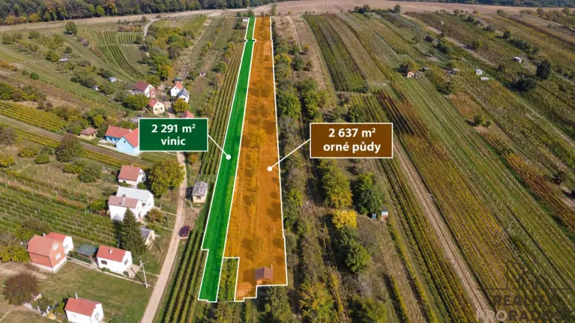 Prodej vinného sklepa, Mutěnice, 107 m2