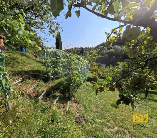 Prodej rodinného domu, Bělá pod Bezdězem, Táborová, 178 m2