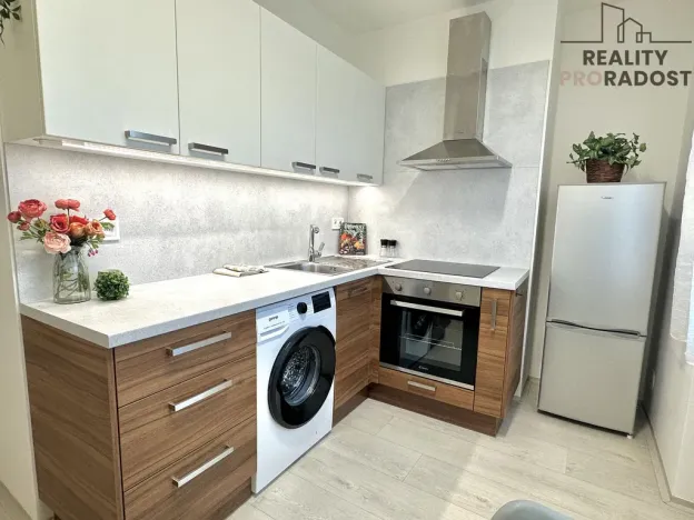 Pronájem bytu 1+1, Olomouc, Wolkerova, 34 m2