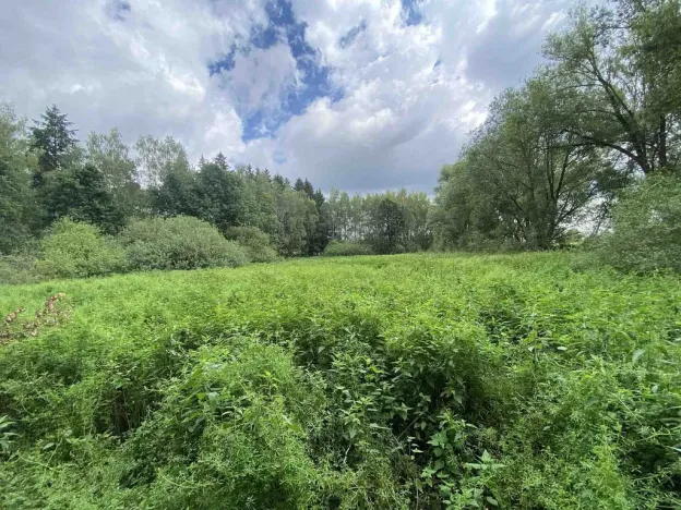 Prodej pozemku, 6751 m², Nové Hrady, Štiptoň