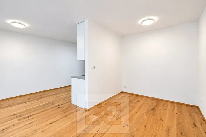 Prodej bytu 1+kk, Praha - Košíře, Starokošířská, 38 m2