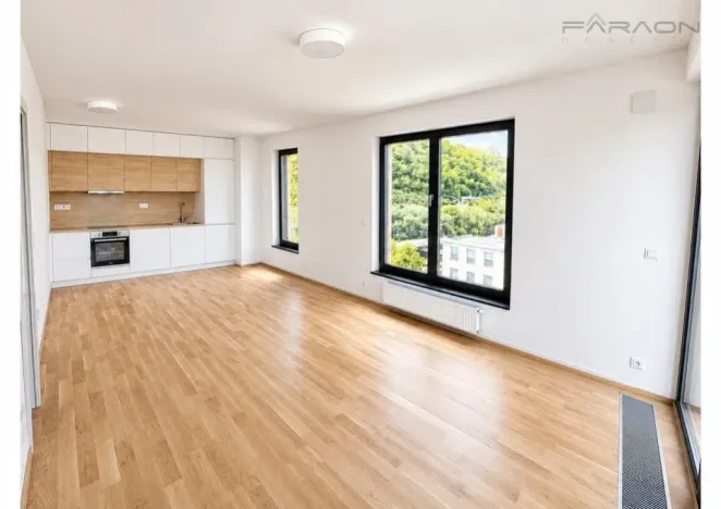 Pronájem bytu 2+kk, Praha - Karlín, Švarcova, 55 m2