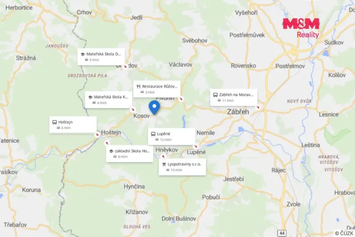 Prodej lesa, Kosov, 467 m2