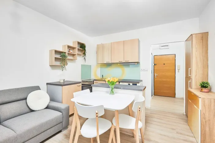Prodej bytu 2+kk, Písek, Budovatelská, 40 m2