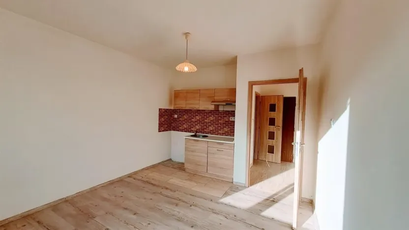 Pronájem bytu 1+kk, Ústí nad Labem - Ústí nad Labem-centrum, Stará, 20 m2
