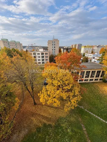 Pronájem bytu 2+1, České Budějovice - České Budějovice 2, J. Opletala, 72 m2