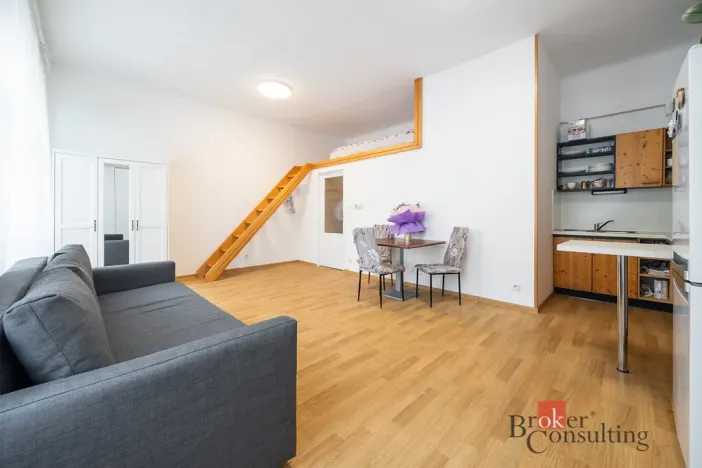 Prodej bytu 1+kk, Praha - Žižkov, Rokycanova, 30 m2