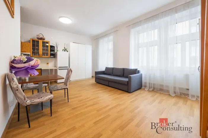 Prodej bytu 1+kk, Praha - Žižkov, Rokycanova, 30 m2