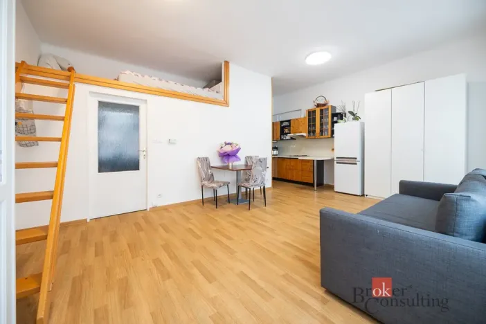 Prodej bytu 1+kk, Praha - Žižkov, Rokycanova, 30 m2