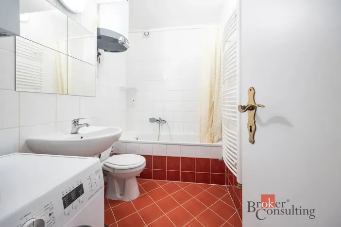 Prodej bytu 1+kk, Praha - Žižkov, Rokycanova, 30 m2