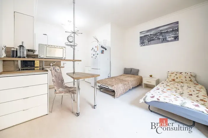 Prodej bytu 1+kk, Praha - Žižkov, Rokycanova, 35 m2