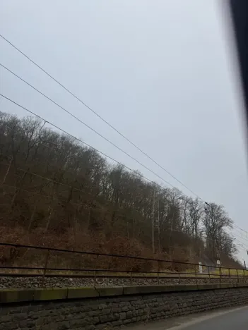Prodej lesa, Ústí nad Labem, 9837 m2