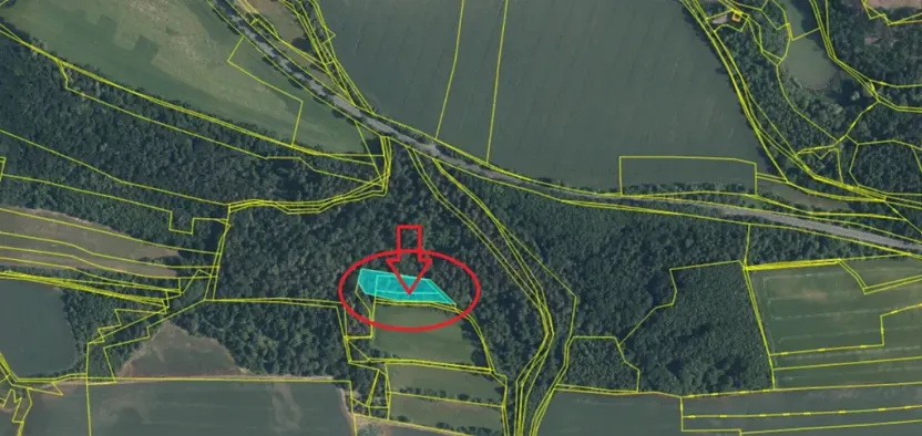 Prodej lesa, Kralupy nad Vltavou, 2714 m2