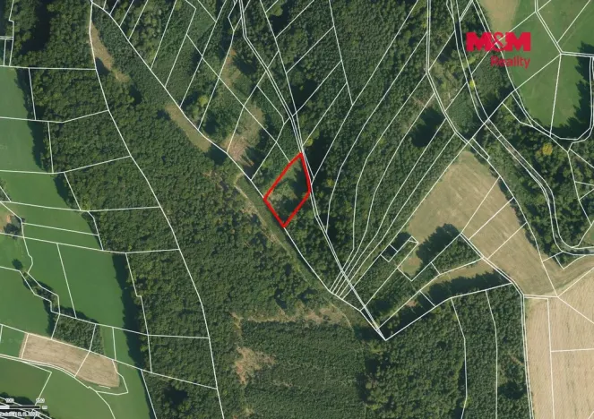 Prodej lesa, Luže - Doly, 4481 m2