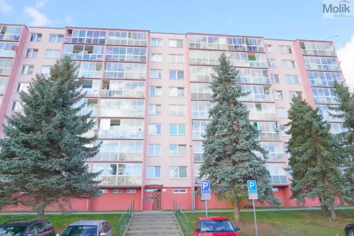 Prodej bytu 4+1, Litvínov - Janov, Luční, 80 m2
