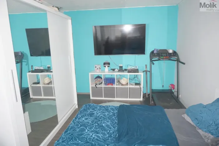 Prodej bytu 4+1, Litvínov - Janov, Luční, 80 m2