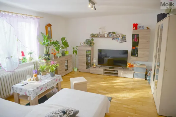 Prodej bytu 3+1, Louny, Prof. Krátkého, 63 m2