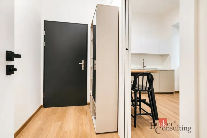Pronájem bytu 1+kk, Brno - Zábrdovice, Bratislavská, 28 m2
