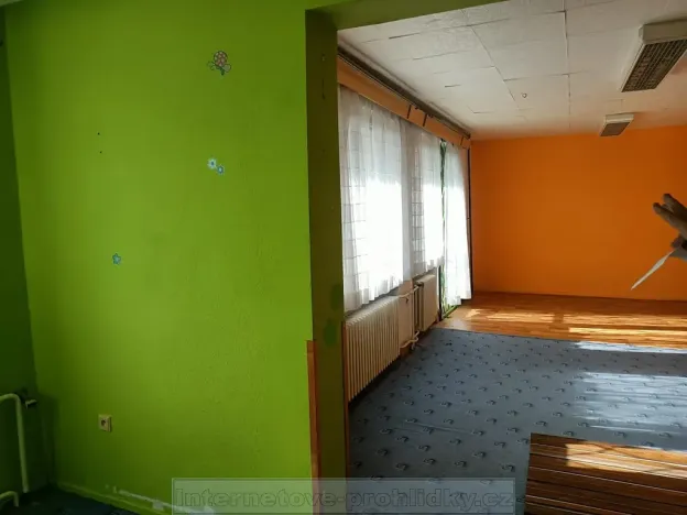 Pronájem rodinného domu, Praha - Kamýk, 210 m2