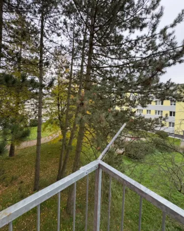 Pronájem bytu 2+1, Česká Lípa, Antonína Sovy, 50 m2