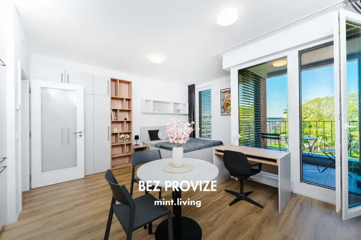 Pronájem bytu 1+kk, Praha - Vysočany, Odkolkova, 36 m2