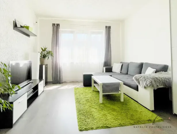 Pronájem bytu 2+1, Ostrov, S. K. Neumanna, 64 m2