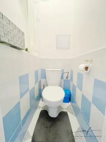 Pronájem bytu 2+1, Ostrov, S. K. Neumanna, 64 m2