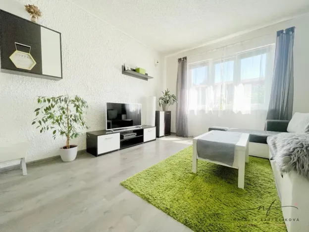 Pronájem bytu 2+1, Ostrov, S. K. Neumanna, 64 m2