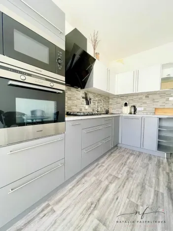 Pronájem bytu 2+1, Ostrov, S. K. Neumanna, 64 m2