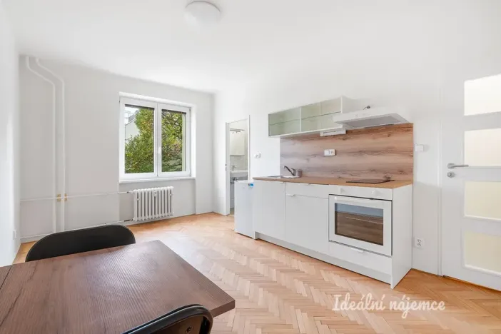 Pronájem bytu 1+kk, Praha - Žižkov, Pod lipami, 20 m2