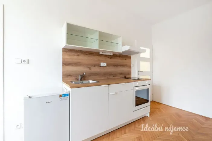 Pronájem bytu 1+kk, Praha - Žižkov, Pod lipami, 20 m2