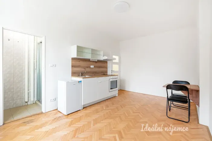 Pronájem bytu 1+kk, Praha - Žižkov, Pod lipami, 20 m2