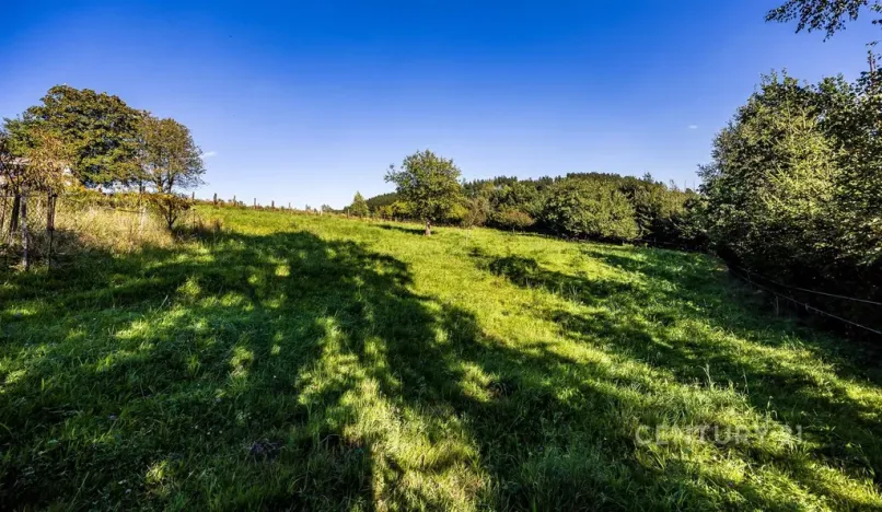 Prodej pozemku pro bydlení, Dolní Poustevna, 5065 m2