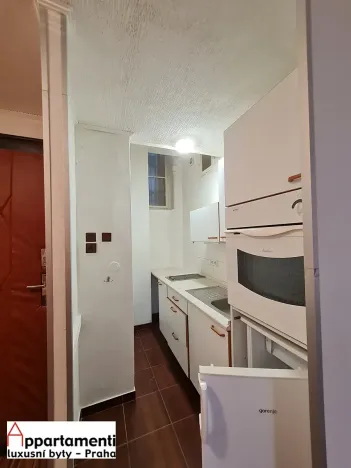 Prodej bytu 1+1, Praha - Žižkov, Jagellonská, 51 m2