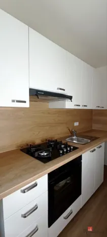 Pronájem bytu 2+kk, Ostrava - Moravská Ostrava, Zelená, 45 m2