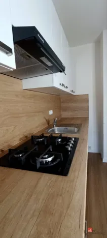 Pronájem bytu 2+kk, Ostrava - Moravská Ostrava, Zelená, 45 m2