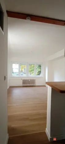 Pronájem bytu 2+kk, Ostrava - Moravská Ostrava, Zelená, 45 m2