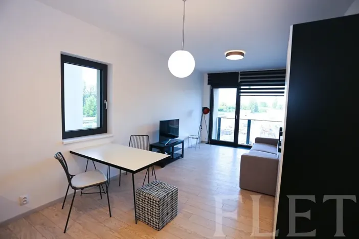 Pronájem bytu 1+kk, Praha - Karlín, U Mlýnského kanálu, 36 m2