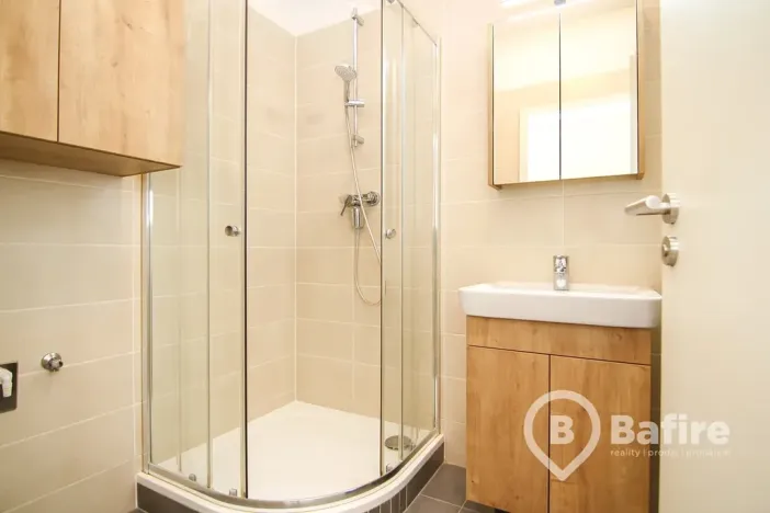 Pronájem bytu 1+kk, Olomouc, Edvarda Beneše, 33 m2