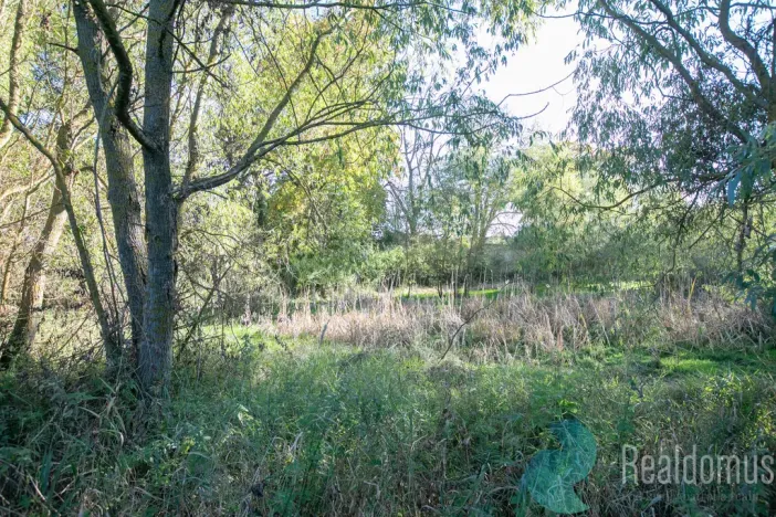 Prodej zemědělské usedlosti, Miličín - Nové Dvory, 121 m2