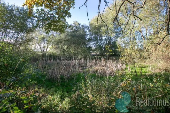 Prodej zemědělské usedlosti, Miličín - Nové Dvory, 121 m2