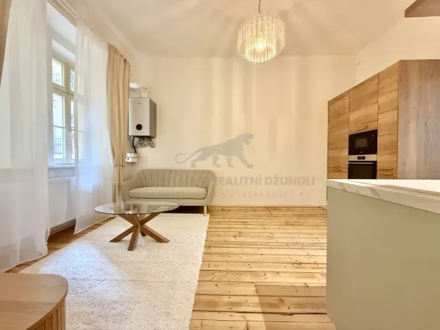 Pronájem bytu 2+kk, Praha - Karlín, Karlínské náměstí, 50 m2