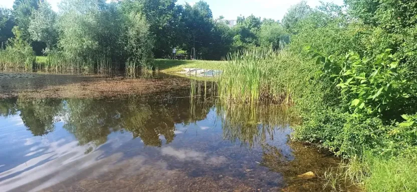 Prodej bytu 2+kk, Brno, Mírová, 56 m2